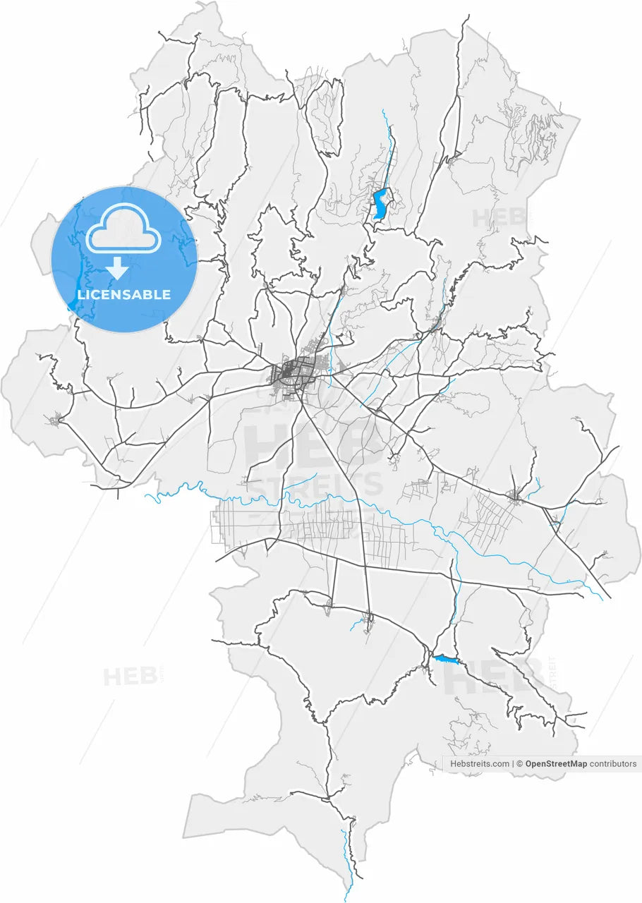 Ödemiş, İzmir, Turkey, high resolution vector map - Instant download PDF and JPG