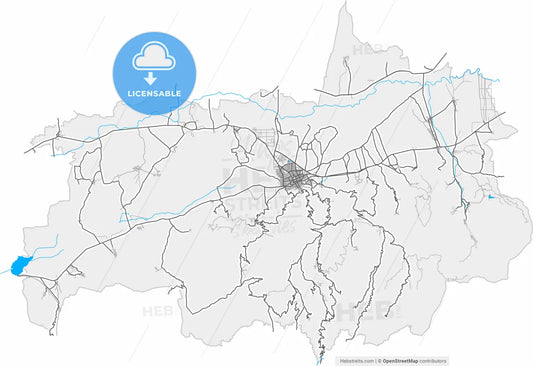 Tire, İzmir, Turkey, high resolution vector map - Instant download PDF and JPG