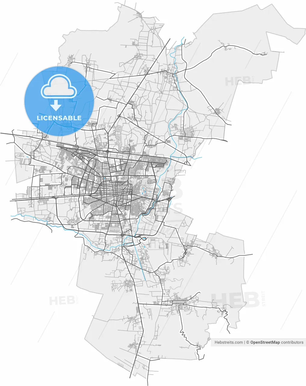 Celaya, Guanajuato, Mexico, high resolution vector map - Instant download PDF and JPG