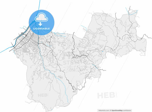 Envigado, Colombia, high resolution vector map - Instant download PDF and JPG