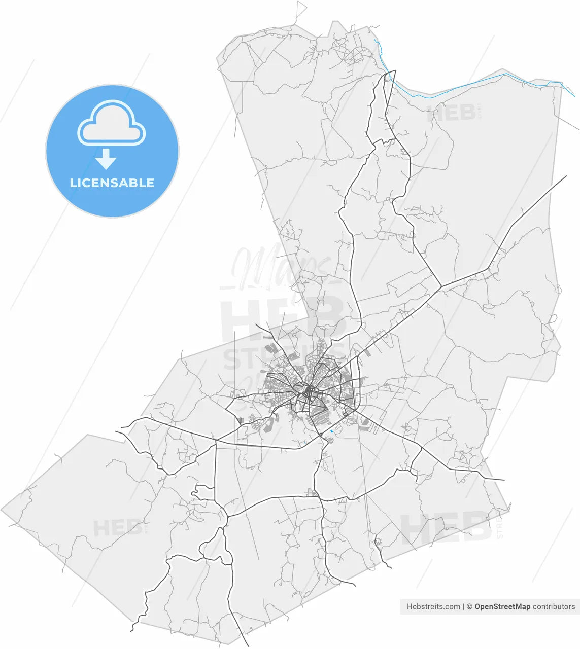Alagoinhas, Brazil, high resolution vector map - Instant download PDF and JPG