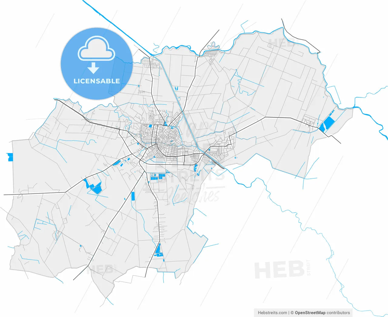 Gyula, Békés, Hungary, high resolution vector map - Instant download PDF and JPG