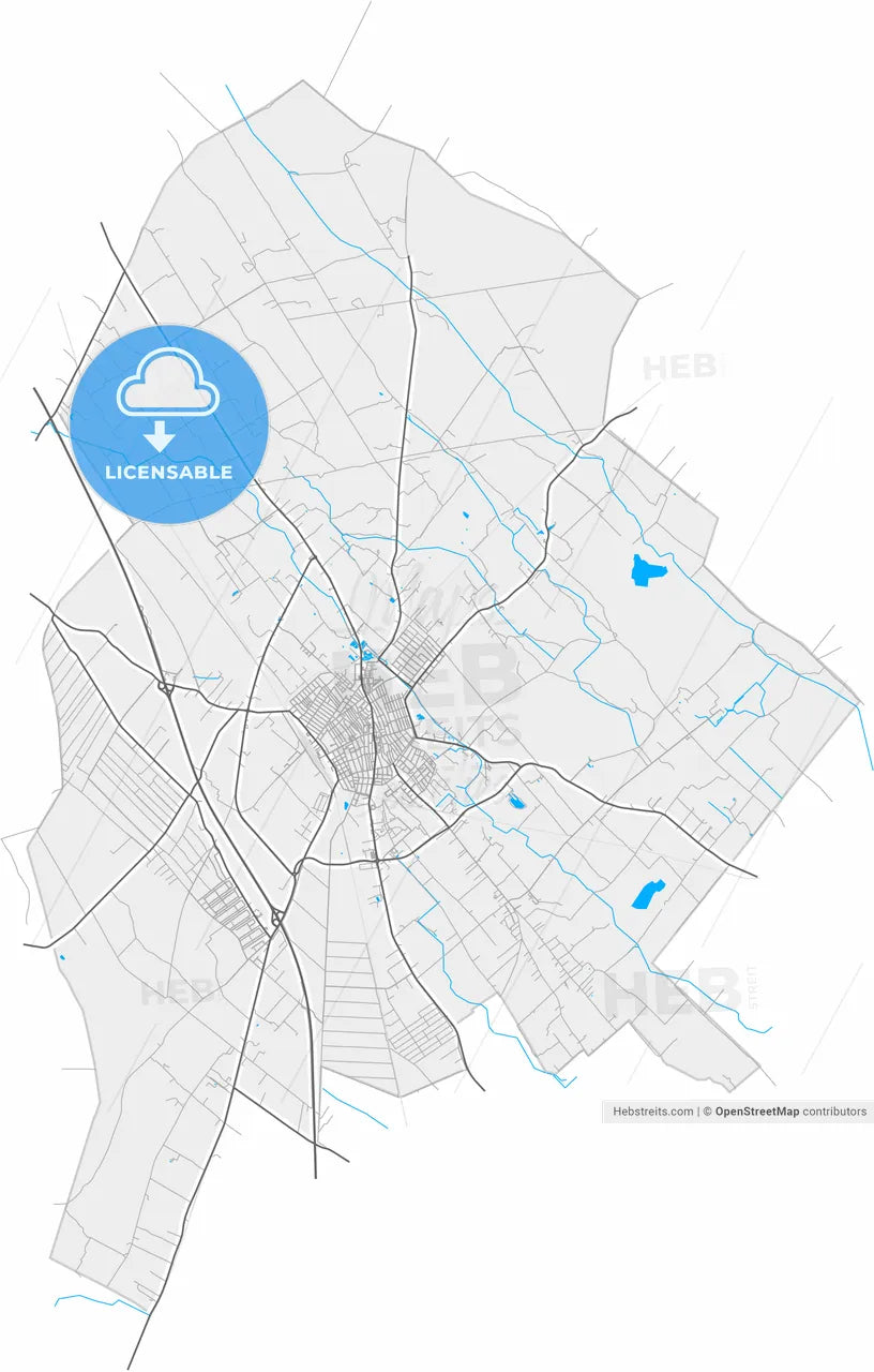 Kiskunfélegyháza, Bács-Kiskun, Hungary, high resolution vector map - Instant download PDF and JPG