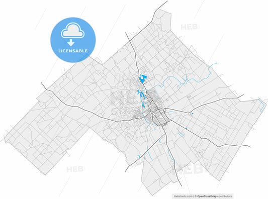 Kiskunhalas, Bács-Kiskun, Hungary, high resolution vector map - Instant download PDF and JPG