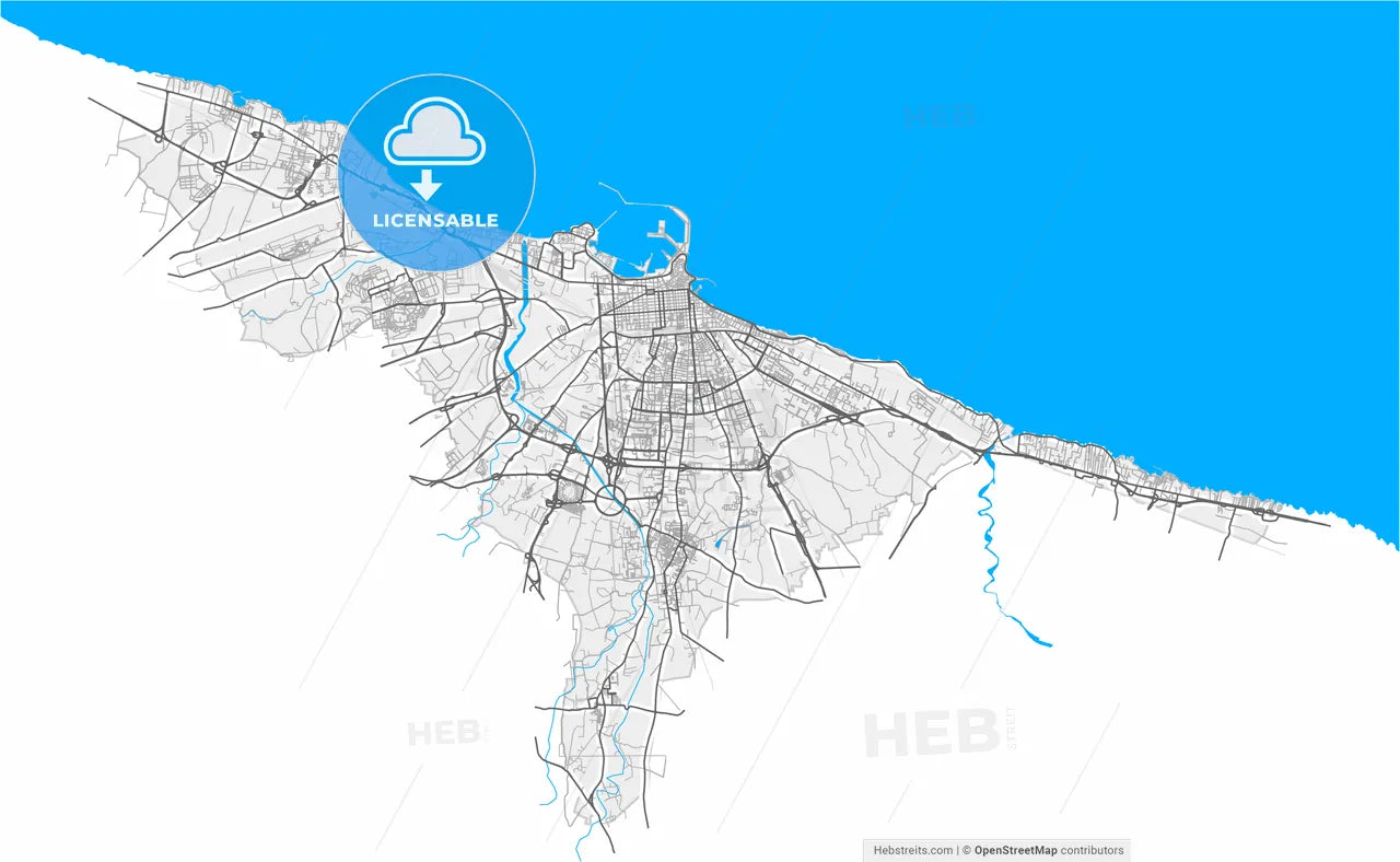 Bari, Apulia, Italy, high resolution vector map - Instant download PDF and JPG