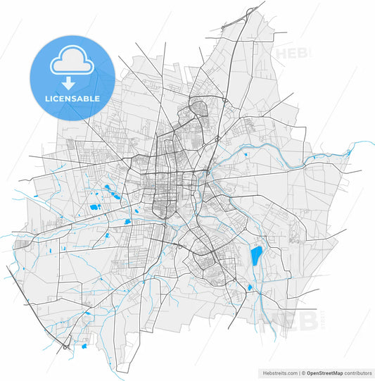 Częstochowa, Silesian, Poland, high resolution vector map - Instant download PDF and JPG