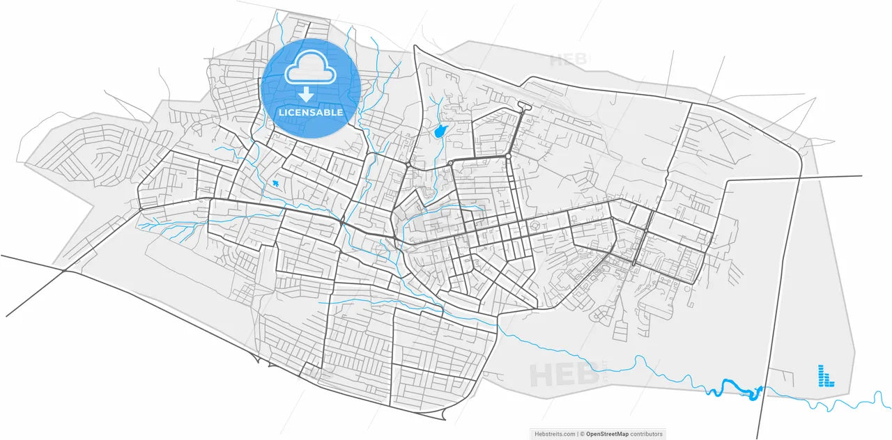 Elista, Republic of Kalmykia, Russia, high resolution vector map - Instant download PDF and JPG