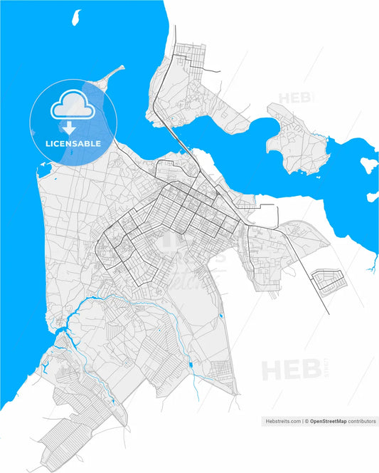 Berdsk, Novosibirsk Oblast, Russia, high resolution vector map - Instant download PDF and JPG
