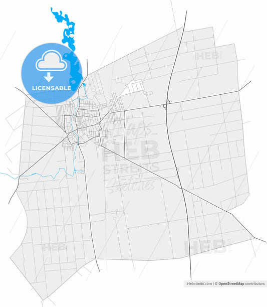 Bačka Topola, North Bačka, Serbia, high resolution vector map - Instant download PDF and JPG