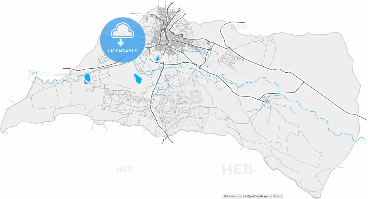 Puertollano, Ciudad Real, Spain, high resolution vector map - Instant download PDF and JPG