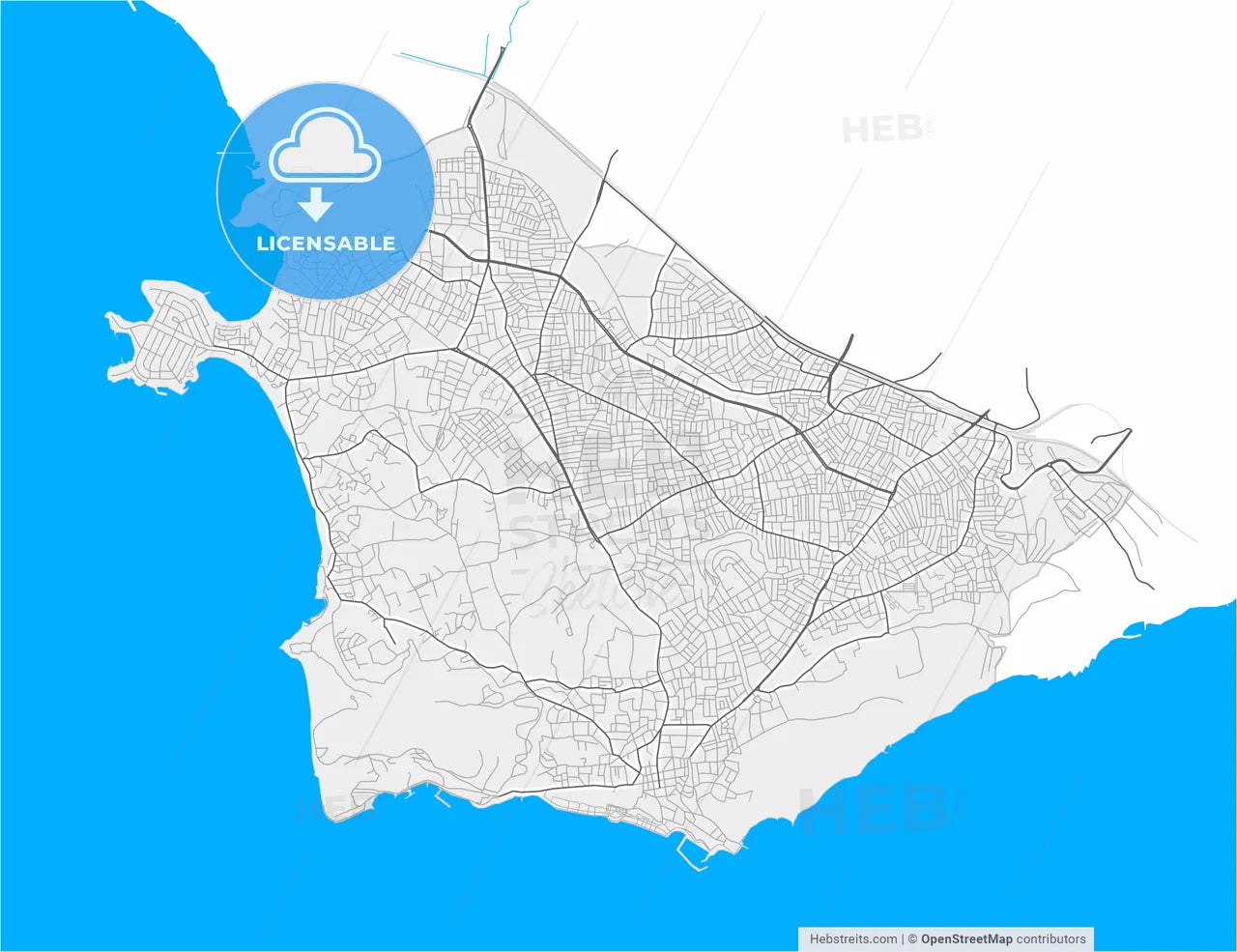Darıca, Kocaeli, Turkey, high resolution vector map - Instant download PDF and JPG