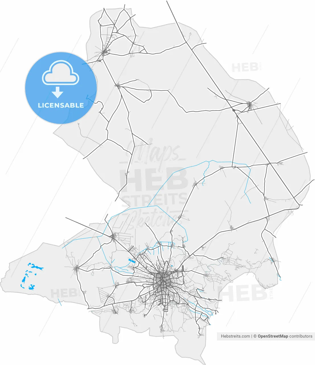 Ereğli, Konya, Turkey, high resolution vector map - Instant download PDF and JPG