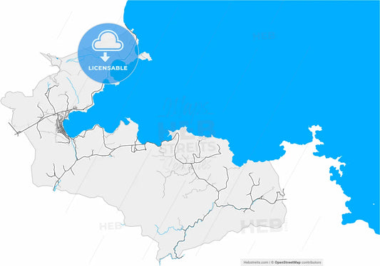 Tatvan, Bitlis, Turkey, high resolution vector map - Instant download PDF and JPG