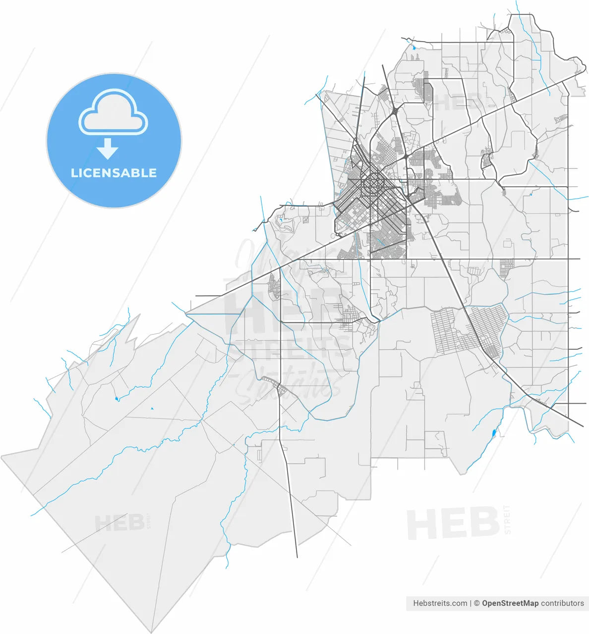 Delicias, Chihuahua, Mexico, high resolution vector map - Instant download PDF and JPG