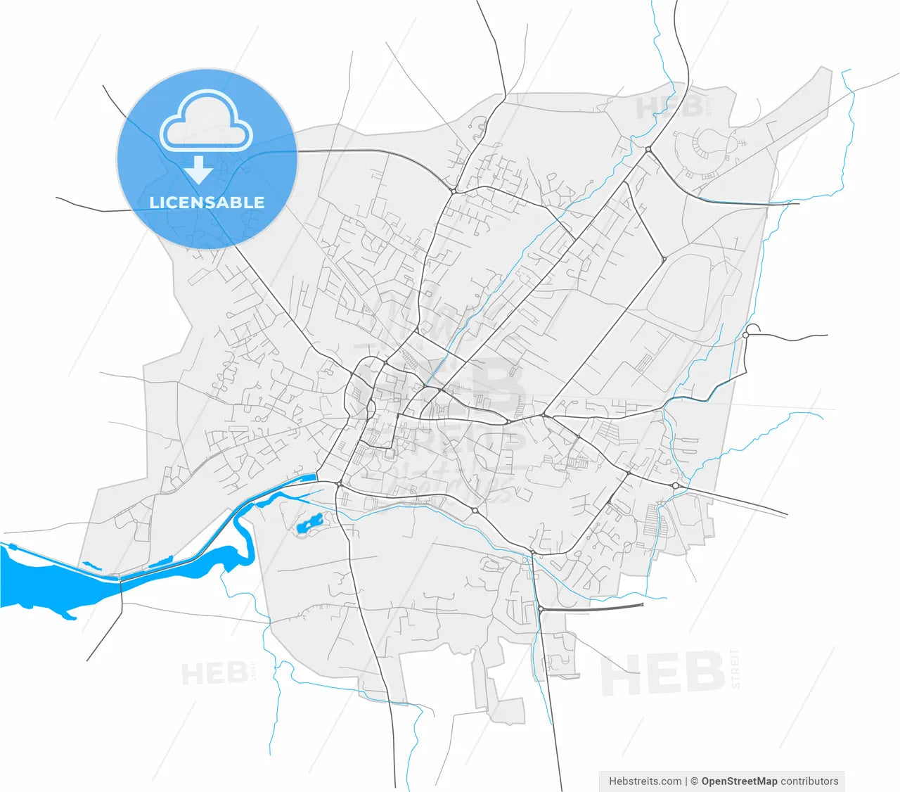 Tralee, County Kerry, Ireland, high resolution vector map - Instant download PDF and JPG