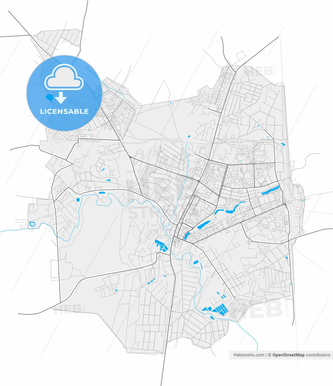 Chekhov, Moscow Oblast, Russia, high resolution vector map - Instant download PDF and JPG