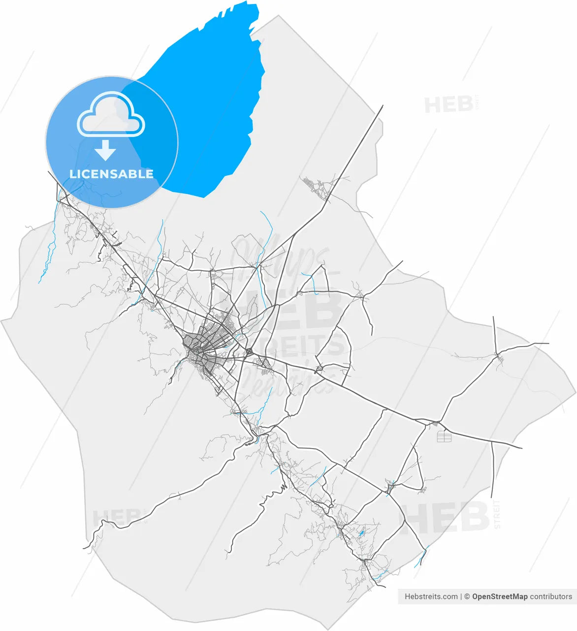 Akşehir, Konya, Turkey, high resolution vector map - Instant download PDF and JPG