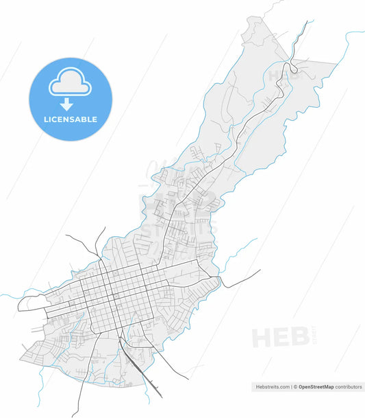 Alajuela, Alajuela, Costa Rica, high resolution vector map - Instant download PDF and JPG