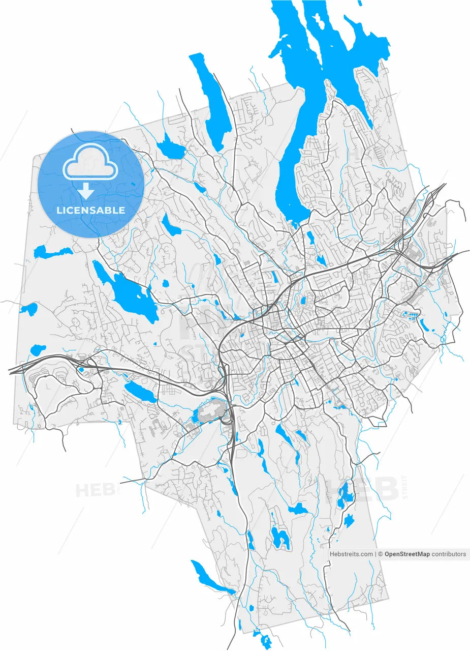 Danbury, Connecticut, United States, high resolution vector map - Instant download PDF and JPG