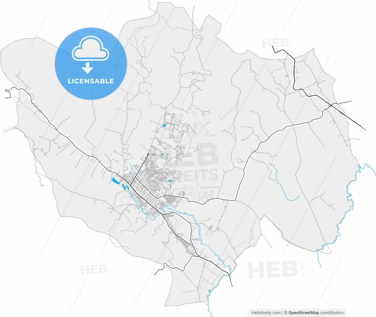 Facatativa, Colombia, high resolution vector map - Instant download PDF and JPG