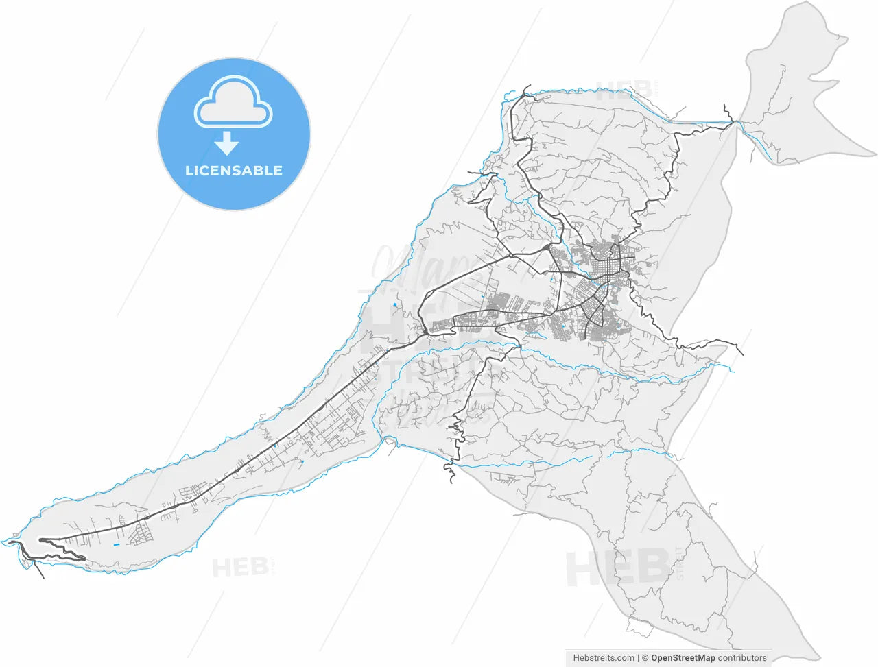 Fusagasuga, Colombia, high resolution vector map - Instant download PDF and JPG