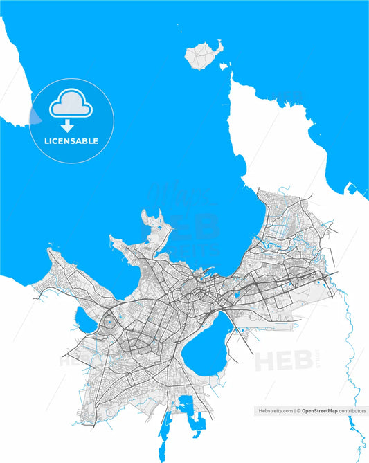 Tallinn, Harju, Estonia, high resolution vector map - Instant download PDF and JPG