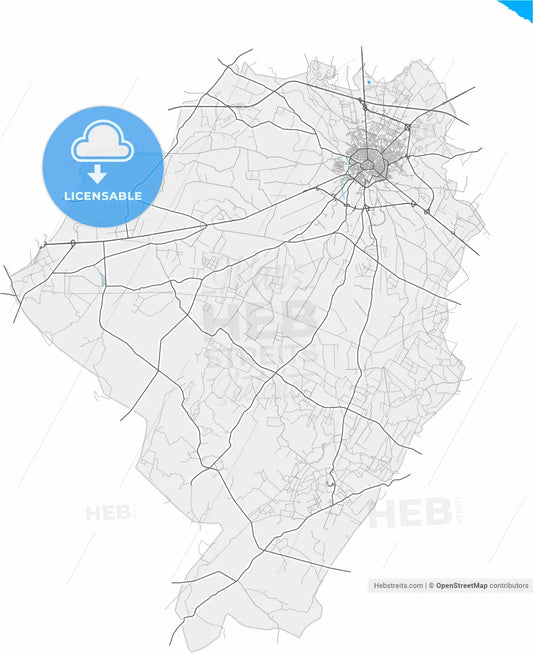 Andria, Apulia, Italy, high resolution vector map - Instant download PDF and JPG