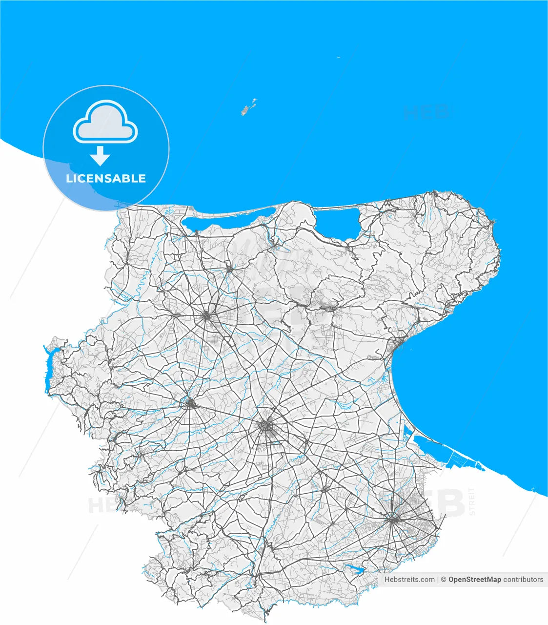 Foggia, Apulia, Italy, high resolution vector map - Instant download PDF and JPG