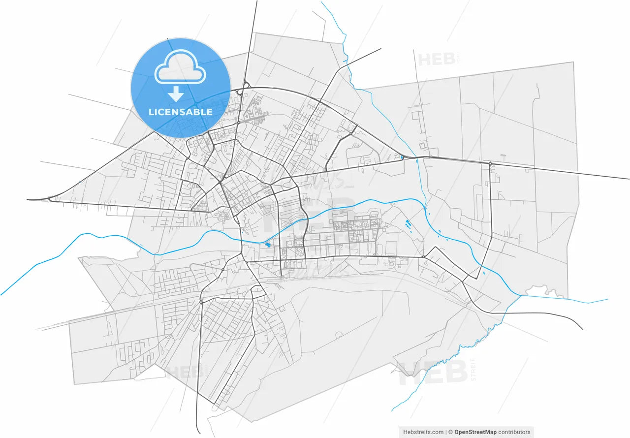 Biała Podlaska, Lublin, Poland, high resolution vector map - Instant download PDF and JPG