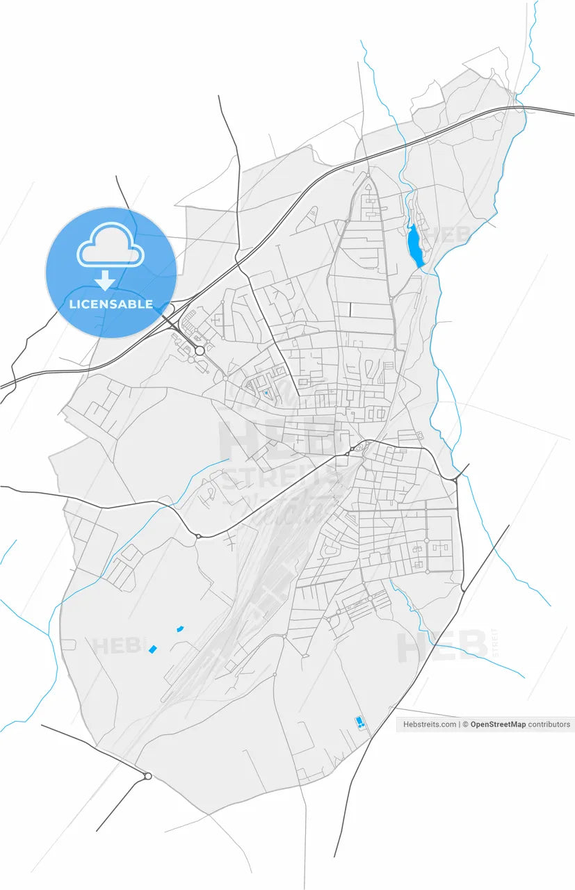 Entroncamento, Santarém, Portugal, high resolution vector map - Instant download PDF and JPG