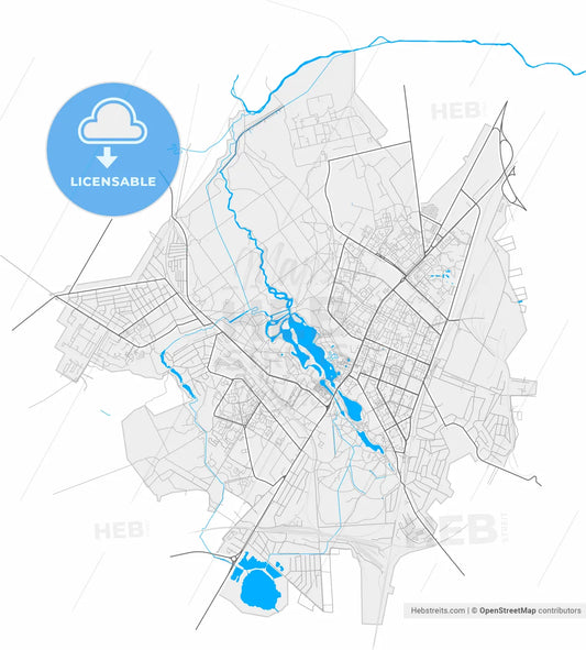 Gatchina, Leningrad Oblast, Russia, high resolution vector map - Instant download PDF and JPG