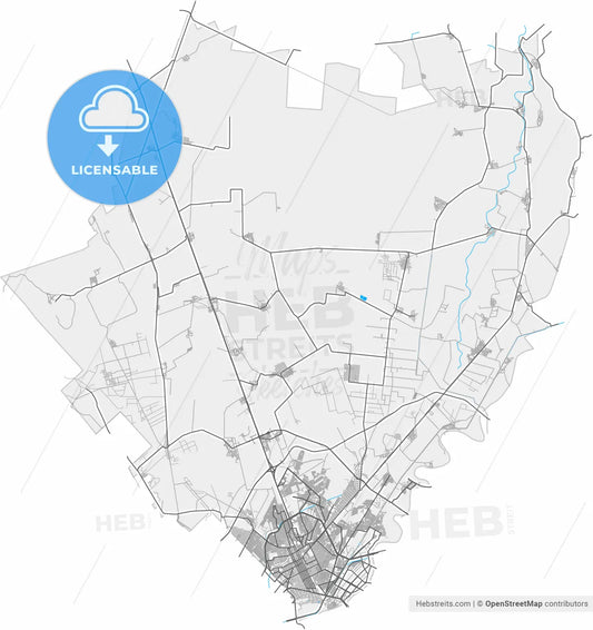 Gómez Palacio, Durango, Mexico, high resolution vector map - Instant download PDF and JPG