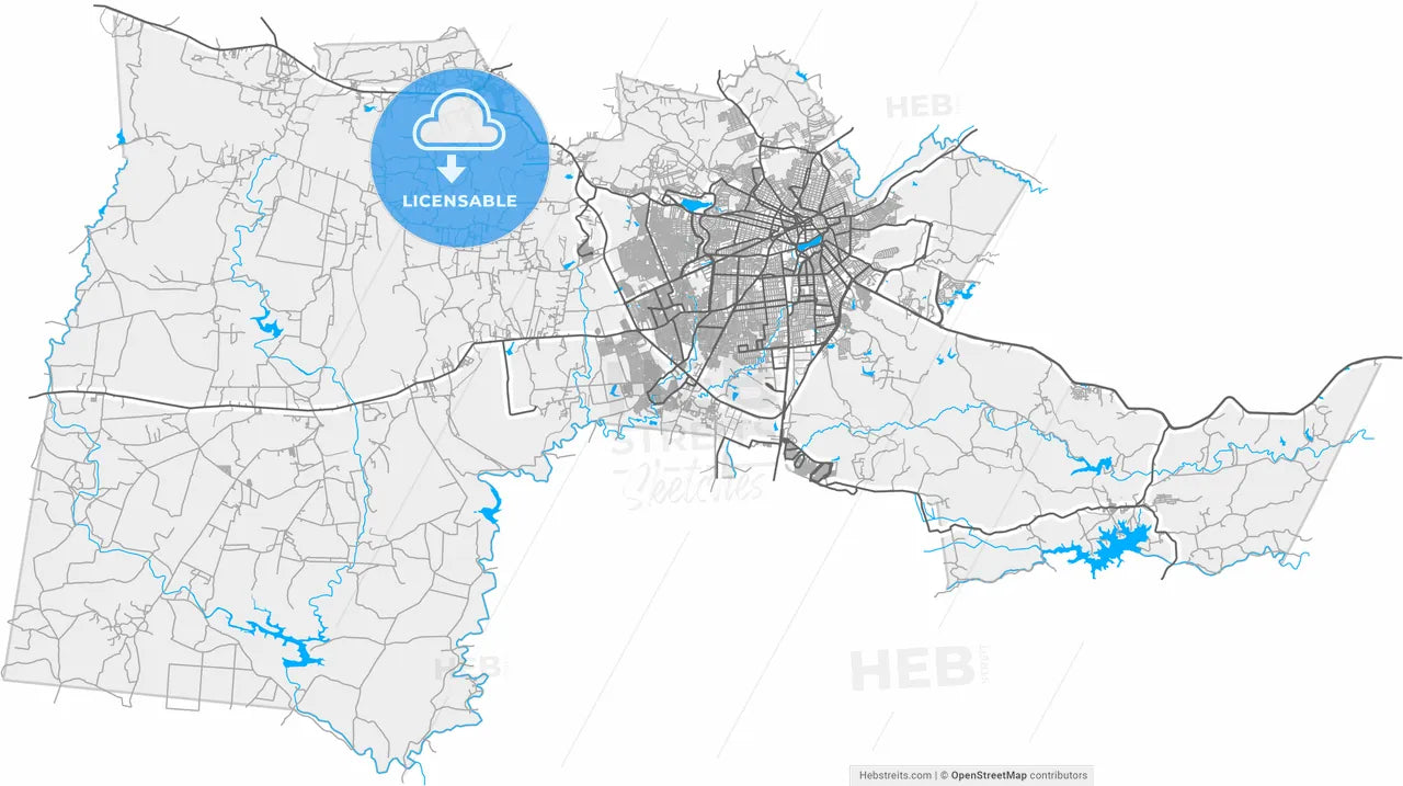 Campina Grande, Brazil, high resolution vector map - Instant download PDF and JPG