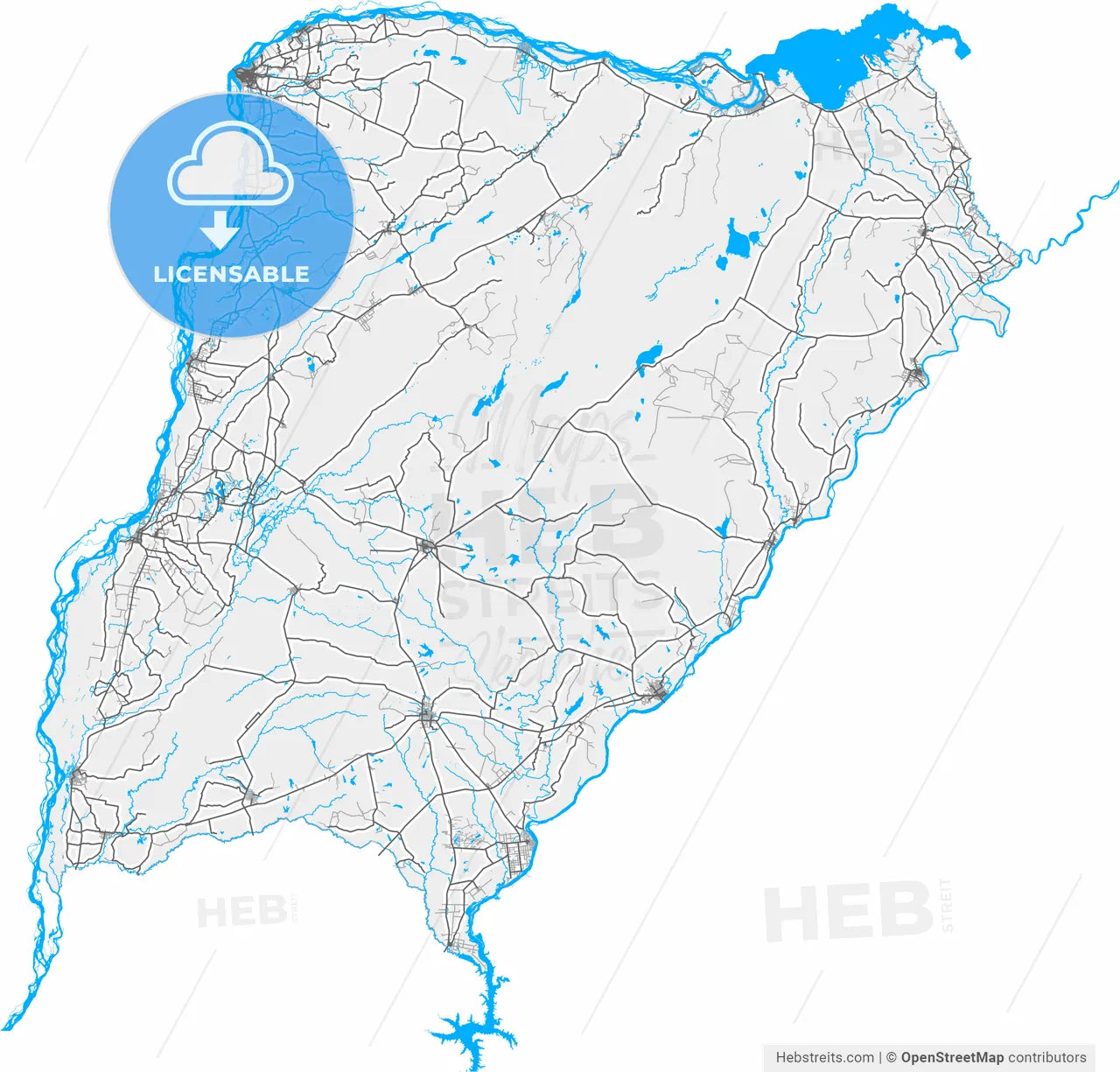 Corrientes, Argentina, high resolution vector map - Instant download PDF and JPG
