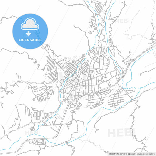 Ejido, Venezuela, city map with high resolution roads.