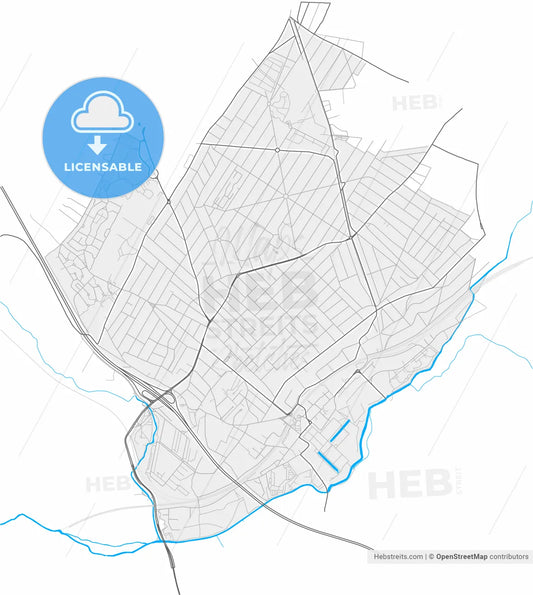 Savigny-sur-Orge, Essonne, France, high resolution vector map - Instant download PDF and JPG