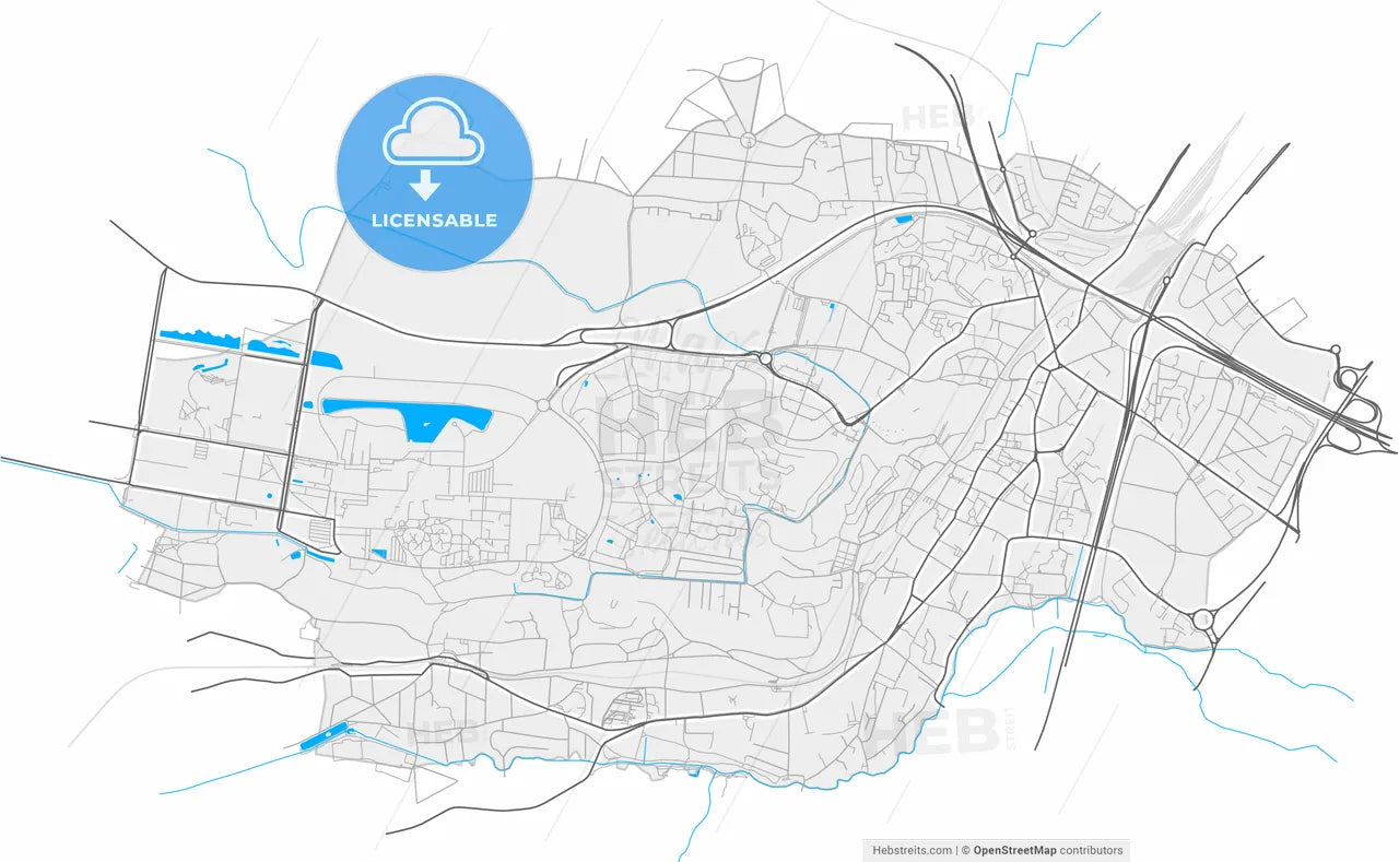 Palaiseau, Essonne, France, high resolution vector map - Instant download PDF and JPG