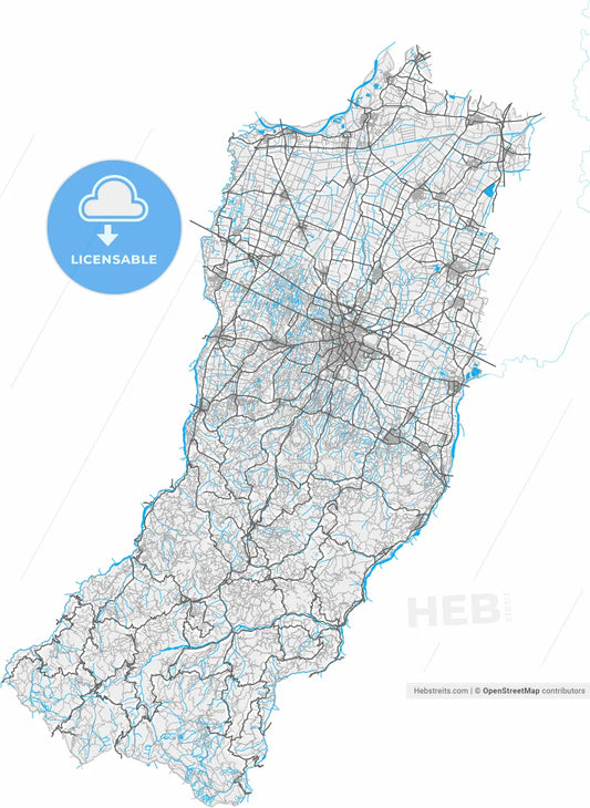 Reggio Emilia, Emilia-Romagna, Italy, high resolution vector map - Instant download PDF and JPG