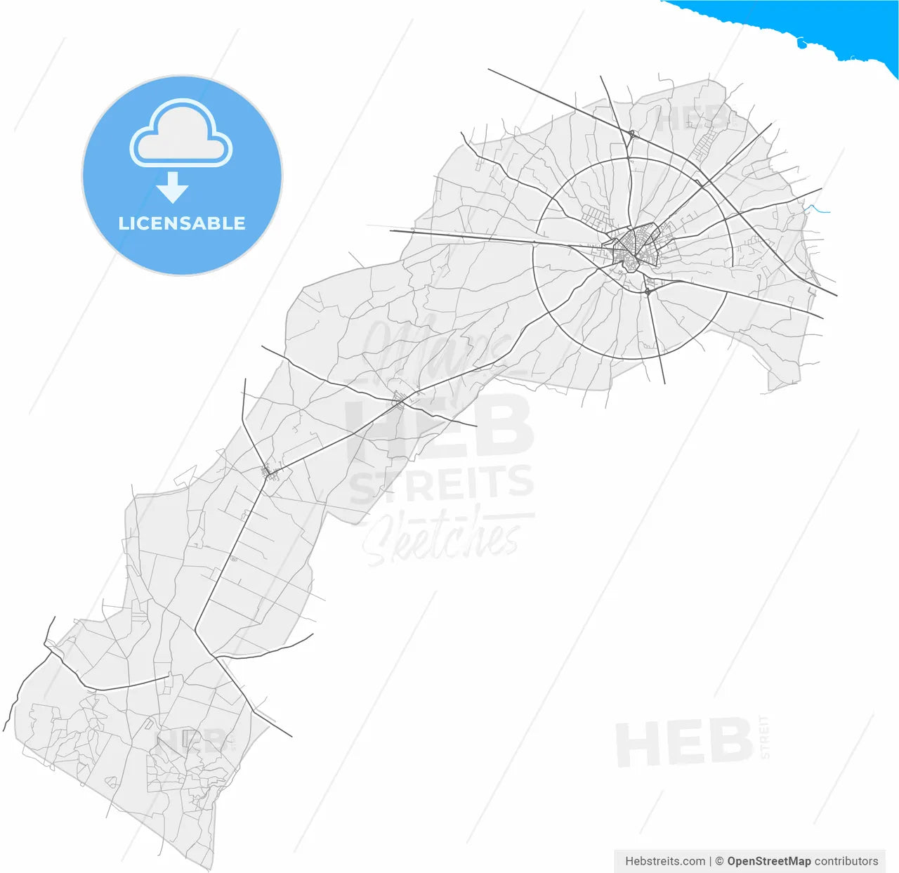 Bitonto, Apulia, Italy, high resolution vector map - Instant download PDF and JPG