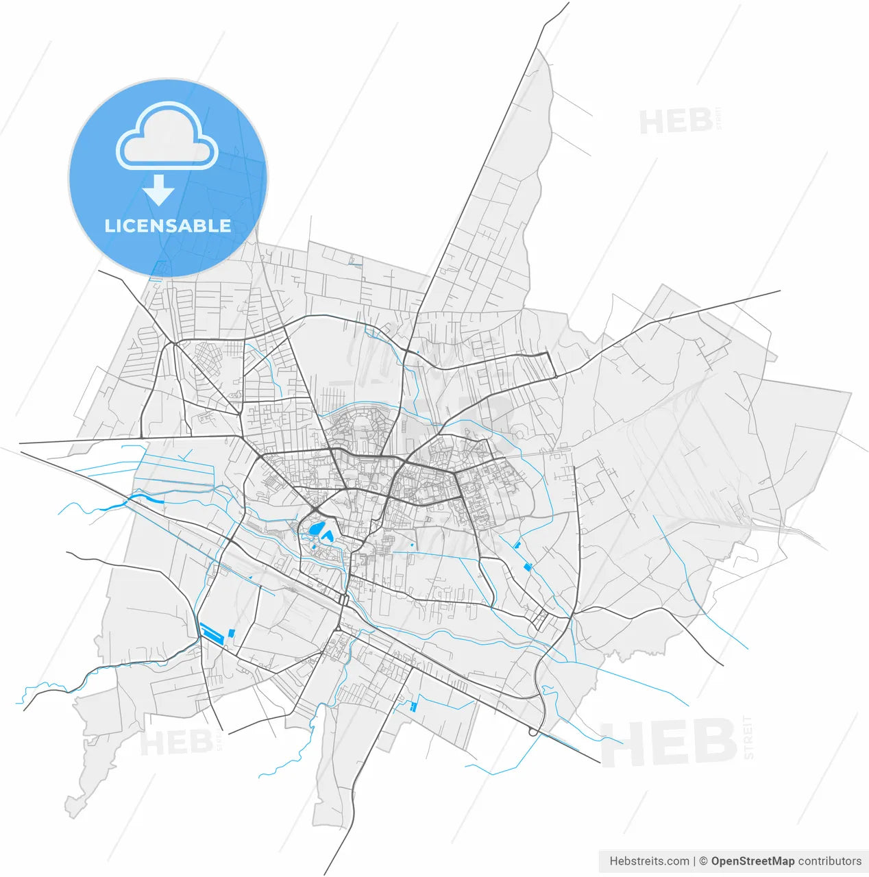 Ostrowiec Świętokrzyski, Świętokrzyskie, Poland, high resolution vector map - Instant download PDF and JPG
