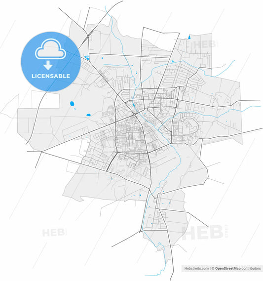 Bełchatów, Łódź, Poland, high resolution vector map - Instant download PDF and JPG