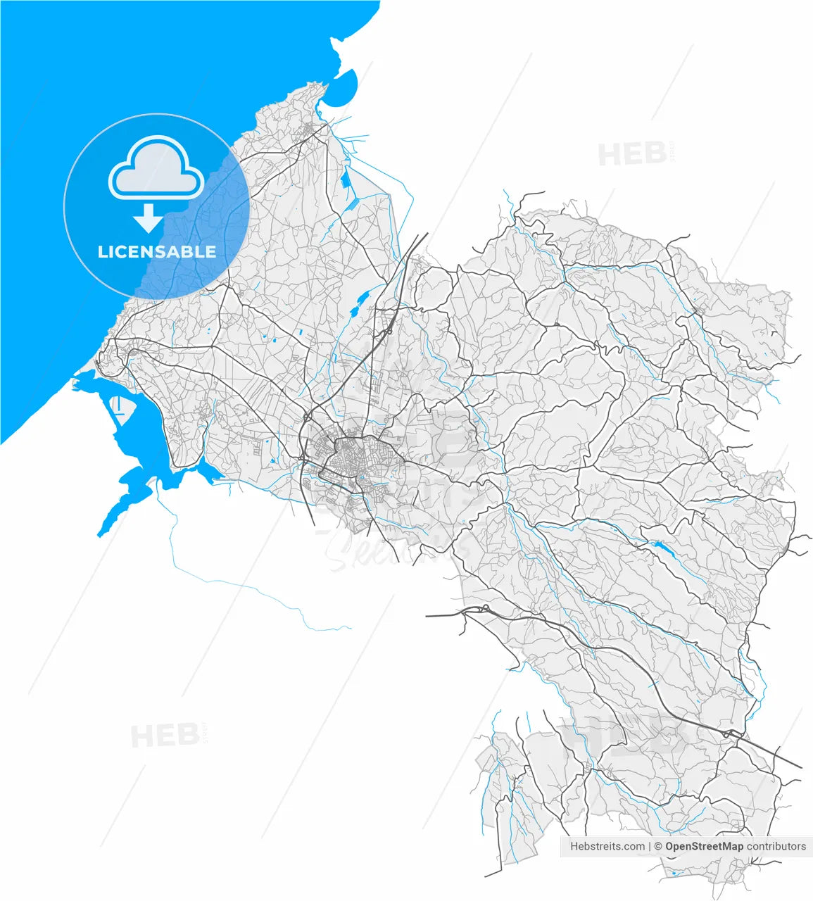 Caldas da Rainha, Leiria, Portugal, high resolution vector map - Instant download PDF and JPG