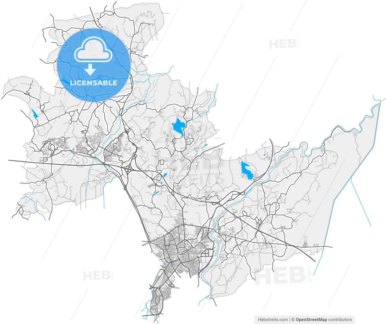 Adapazarı, Sakarya, Turkey, high resolution vector map - Instant download PDF and JPG