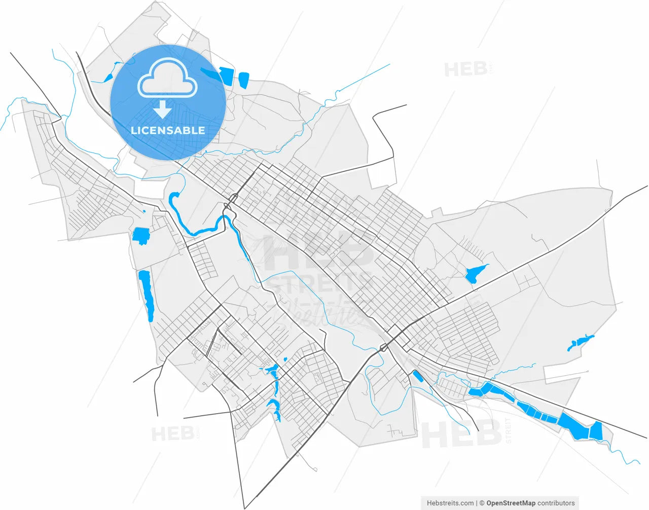 Kostiantynivka, Donetsk Oblast, Ukraine, high resolution vector map - Instant download PDF and JPG