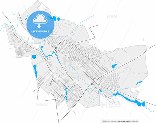 Kostiantynivka, Donetsk Oblast, Ukraine, high resolution vector map - Instant download PDF and JPG