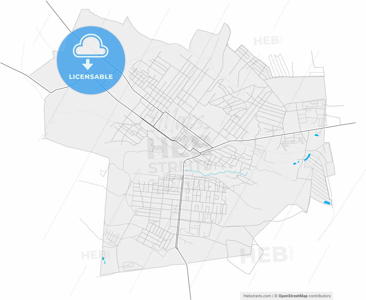 Toretsk, Donetsk Oblast, Ukraine, high resolution vector map - Instant download PDF and JPG