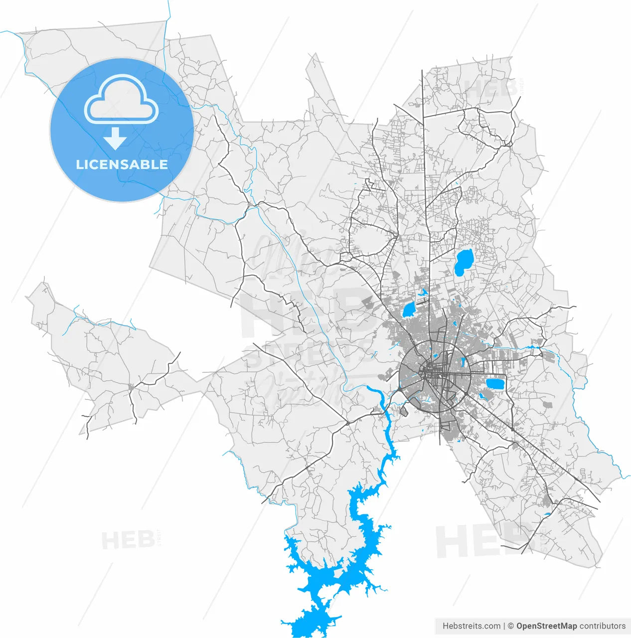 Feira de Santana, Brazil, high resolution vector map - Instant download PDF and JPG
