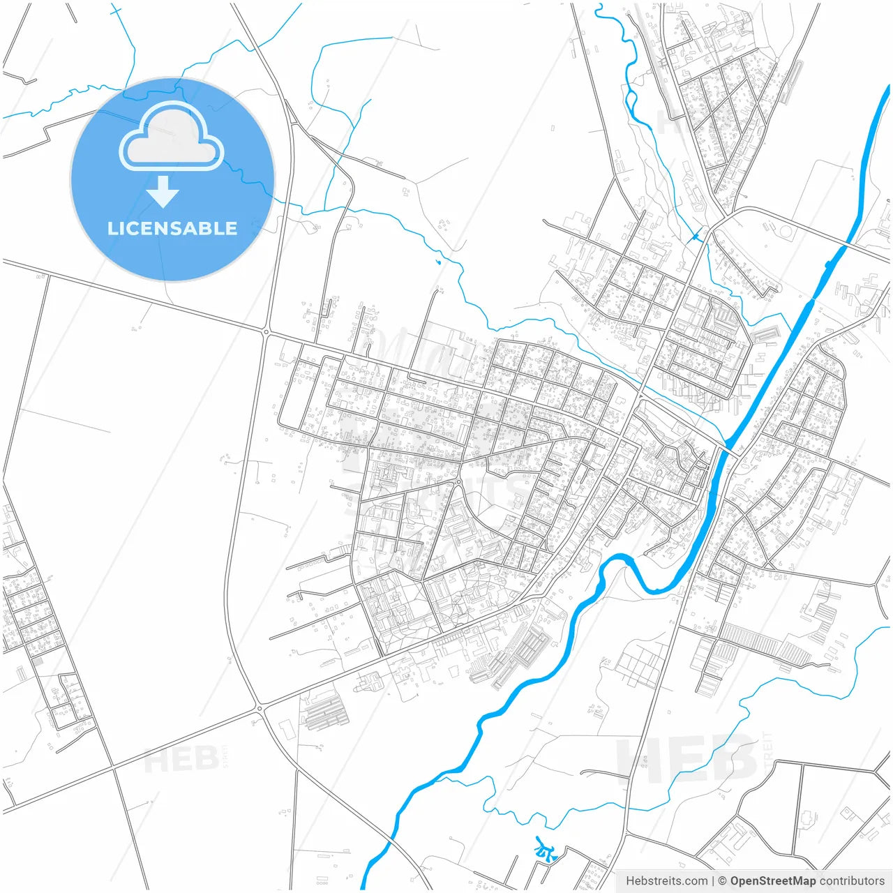 Kėdainiai, Kaunas County, Lithuania, city map with high resolution roads.