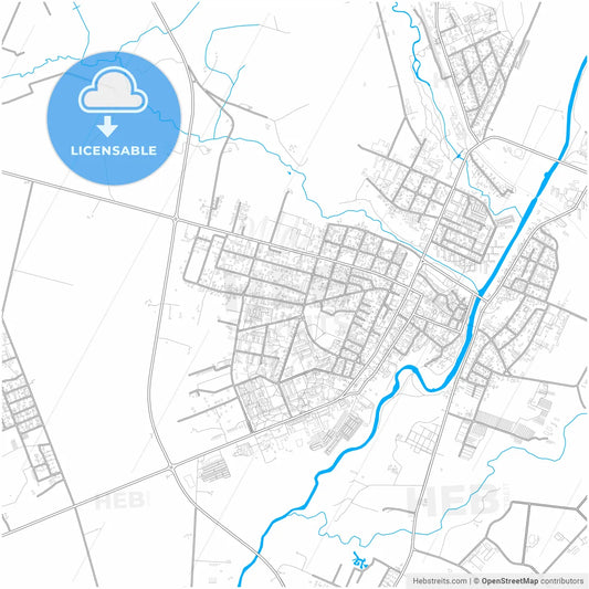 Kėdainiai, Kaunas County, Lithuania, city map with high resolution roads.
