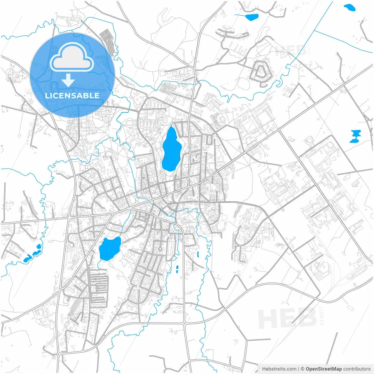 Utena, Utena County, Lithuania, city map with high resolution roads.